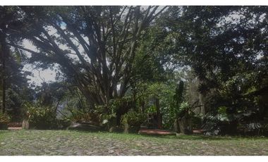 CASA FINCA POBLADO LOS BALSOS
