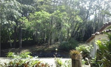 CASA FINCA POBLADO LOS BALSOS