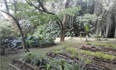 CASA FINCA POBLADO LOS BALSOS