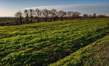Parcelas Talca - Venta de Terreno en la Septima Region Chile
