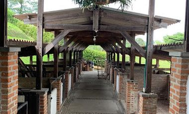 VENTA de FINCAS en SANTA ROSA DE CABAL
