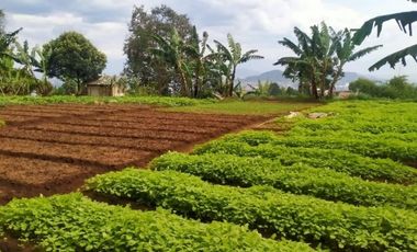 Tanah Bandung Barat 7 Menit Kantor Bupati KBB SHM 2 Jutaan/m