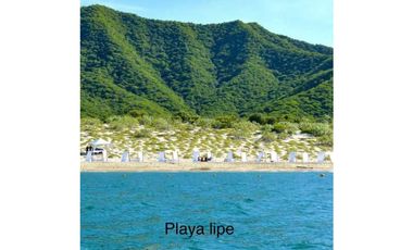 Lote en Santa Marta Playa Lipe Valor por M2 $1.500.000