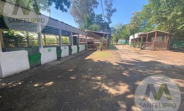 Camping - Granja - Acuario - Agricultura - Campo - Florencio Varela - Buenos Aires - Venta - Sanfelippo Propiedades