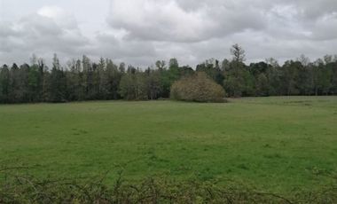 Parcela en Venta en Rio Rahue