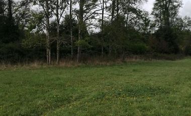 Parcela en Venta en Rio Rahue