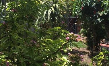 Chalet en venta en Sourigues