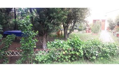 Casa 5 ambientes con dos galpones/ 1 1/4 Hectarea/ Zona La Trinidad