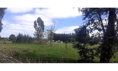 Casa 5 ambientes con dos galpones/ 1 1/4 Hectarea/ Zona La Trinidad