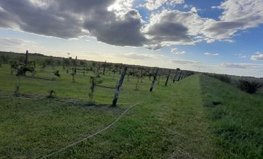 VENTA DE LOTES .  ENTREGA Y CUOTAS  DESDE  500 DOLARES