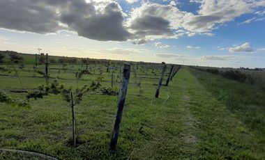 VENTA DE LOTES .  ENTREGA Y CUOTAS  DESDE  500 DOLARES