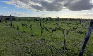 VENTA DE LOTES .  ENTREGA Y CUOTAS  DESDE  500 DOLARES