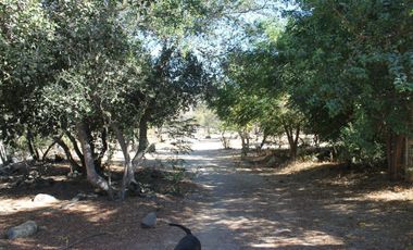 Se Vende Parcela con cabaña