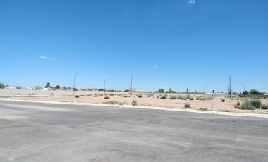 TERRENO EN VENTA EN EJIDO SAN MIGUEL MATAMOROS, COAHUILA