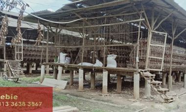 Peternakan Desa Sukaraksa Cigudeg Bogor - CW/IW 5909 BR