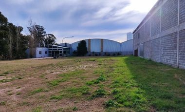 Galpónes 2000 m2 en total s/Lote 8600m2(108x80)a 100m Ruta11