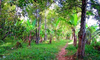 Freehold land for sale in Klungkung, East Bali