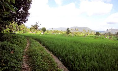 Freehold land for sale in Klungkung, East Bali