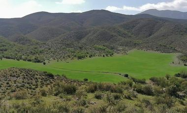TERRENO VALLE DE GUADALUPE EN PAGOS