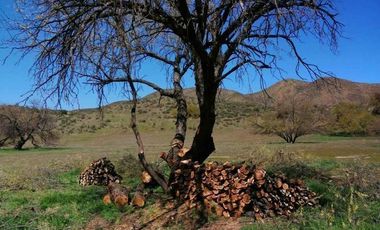 TERRENO VALLE DE GUADALUPE EN PAGOS