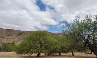 TERRENO VALLE DE GUADALUPE EN PAGOS