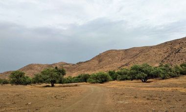 TERRENO VALLE DE GUADALUPE EN PAGOS