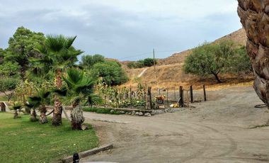 TERRENO VALLE DE GUADALUPE EN PAGOS