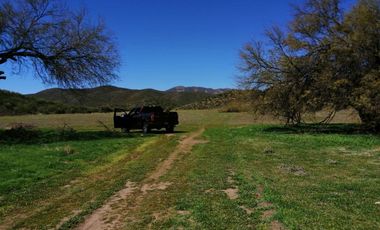 TERRENO VALLE DE GUADALUPE EN PAGOS