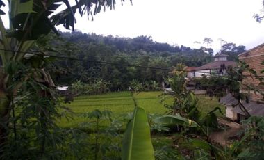 Cheap Land For Sale 4 Hectares In Padalarang Bandung