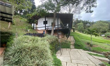 Finca Dapa