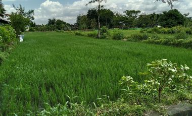 TANAH STRATEGIS MANGKU JALAN LEBAR ASPAL DUA MUKA DEKAT PABRIK SGM