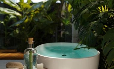 Vila Murah Dan Asri Di Ubud bali