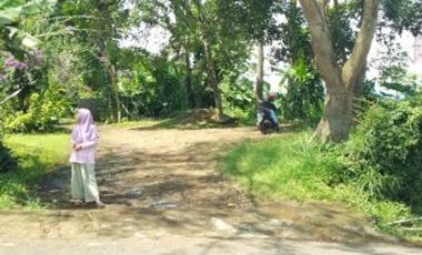 Tanah Murah dekat kantor KBB cocok untuk perumahan mess yayasan kntor dinas 3jt/ m² Lt 3000m² muka 30m SHM bisa KPR