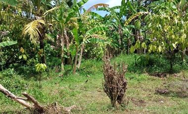 Plots of land close the Bajera traditional Market Bali
