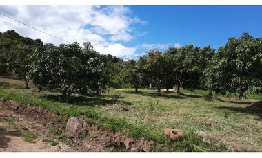 LOTE EN LA MESA CUNDINAMARCA  A 15 MINUTOS DEL CENTRO