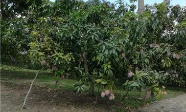 LOTE EN LA MESA CUNDINAMARCA  A 15 MINUTOS DEL CENTRO