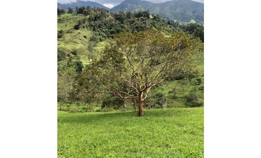 HERMOSA FINCA BOGOTA SAN FRANCISCO DE SALES VEREDA EL PEÑON