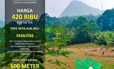 Kavling Kebun Murah Lokasi 2 KM dari Cafe Kodemang Bogor