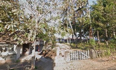 Jual Tanah Kebun Sangat Luas Dekat Pantai di Banyuwangi