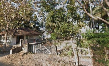 Jual Tanah Kebun Sangat Luas Dekat Pantai di Banyuwangi