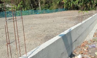 [854A19] Land for sale 300m2 - Demak, Central Java