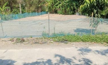 [854A19] Land for sale 300m2 - Demak, Central Java