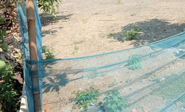 [854A19] Land for sale 300m2 - Demak, Central Java