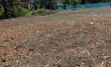[854A19] Land for sale 300m2 - Demak, Central Java