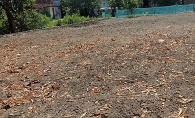 [854A19] Land for sale 300m2 - Demak, Central Java