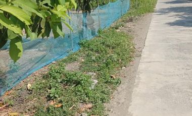 [854A19] Land for sale 300m2 - Demak, Central Java