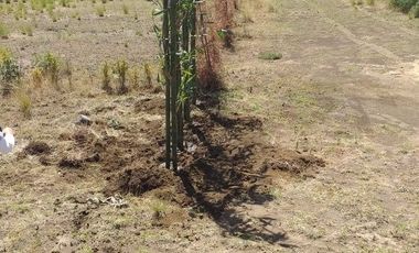 Terreno rústico en Residencial los Cedros