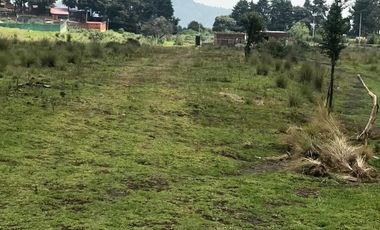 Terreno rústico en Residencial los Cedros