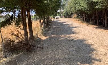 Terreno rústico en Residencial los Cedros