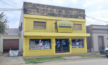 IMPORTANTE LOCAL COMERCIAL EN PLENO CENTRO DE SAN JOSE